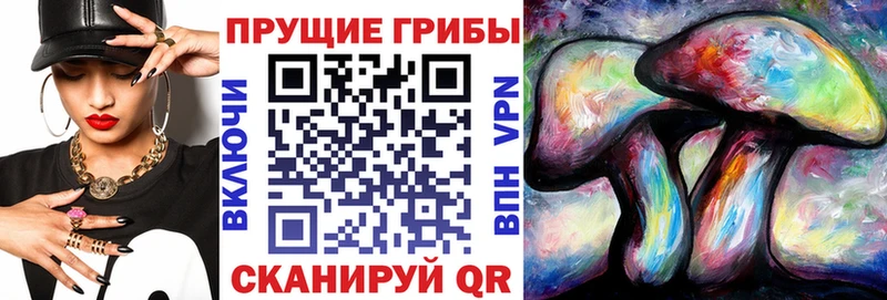 Псилоцибиновые грибы GOLDEN TEACHER  кракен ссылки  Оха 